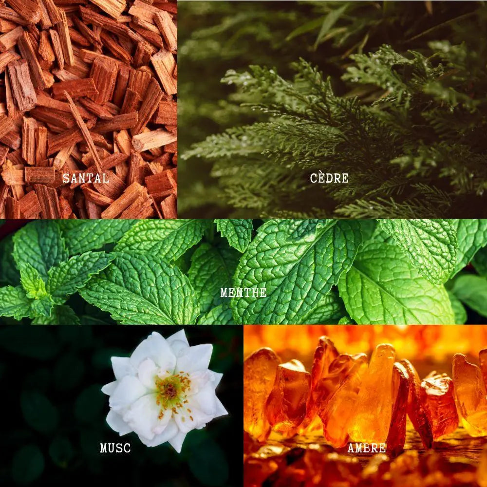 Bougie parfumée - Cime Enneigée (130g) Effet WOW