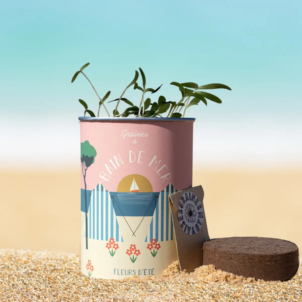 Kit à semer "Bains de Mer" - Graines de Fleurs d'été MauvaisesGraines