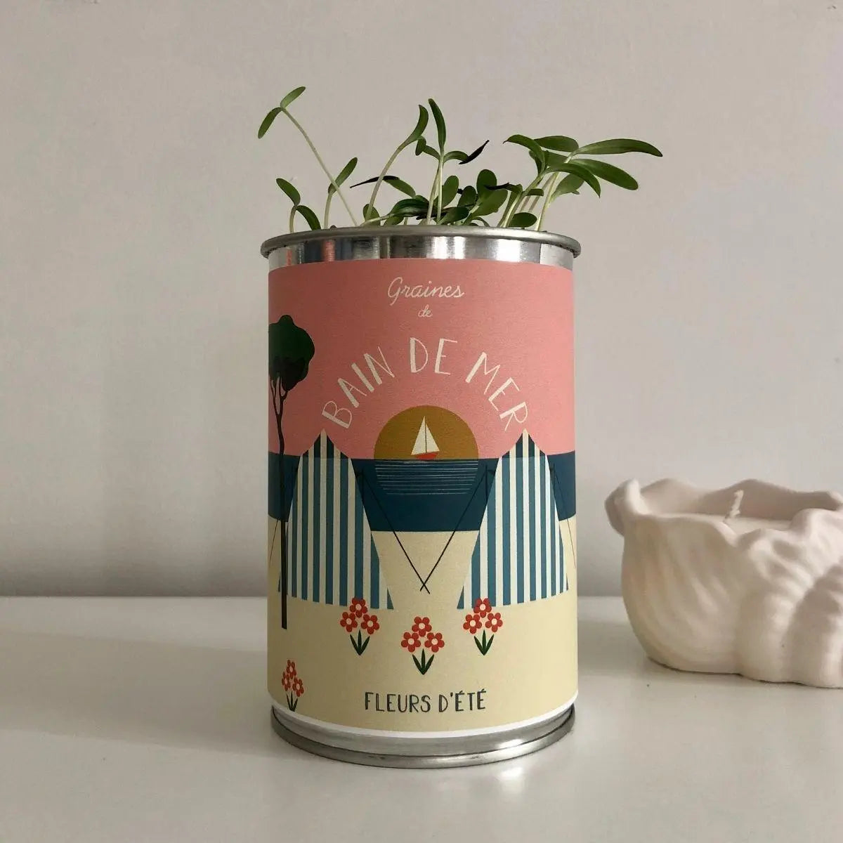 Kit à semer "Bains de Mer" - Graines de Fleurs d'été